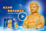  Image Alt Text 